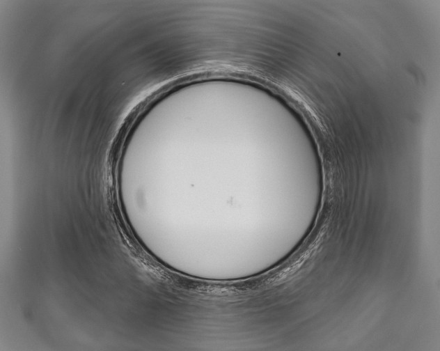 X0000111791070200907230944