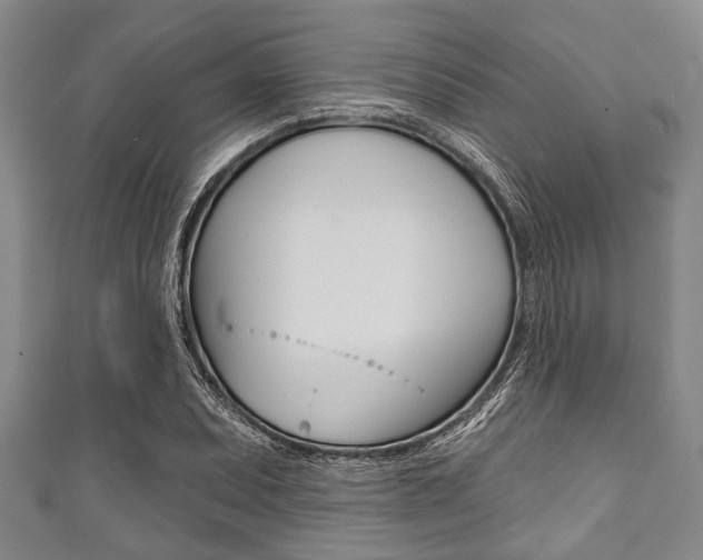 X0000111791071200907230944