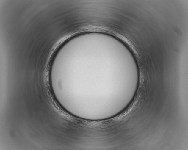 X0000111791074200907230944