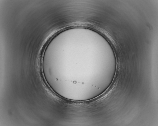 X0000111791075200907230944