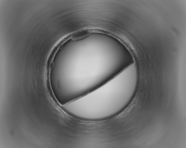 X0000111791076200907230944