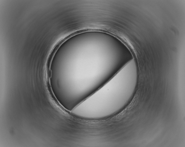 X0000111791080200907230944