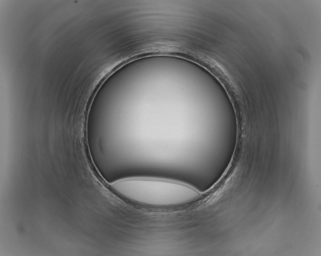 X0000111791081200907230944