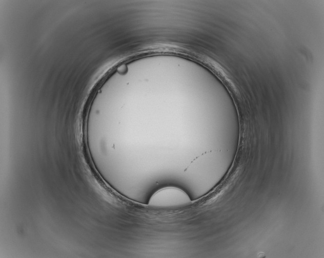 X0000111791082200907230944