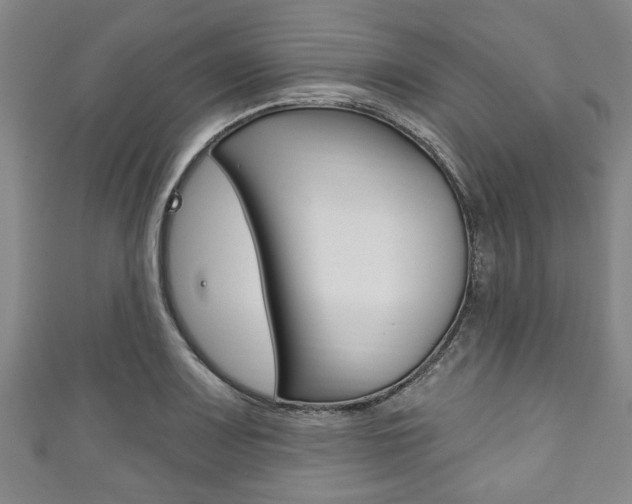 X0000111791083200907230944