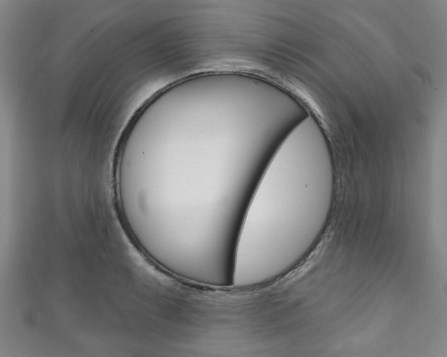 X0000111791087200907230944