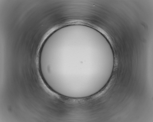 X0000111791090200907230944