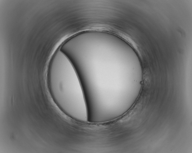 X0000111791091200907230944