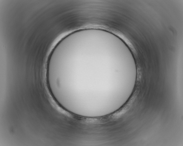 X0000111791094200907230944