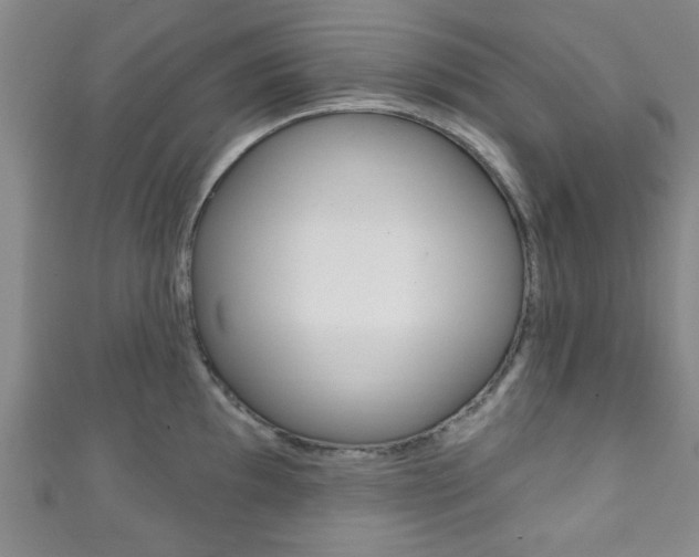 X0000111791097200907230944