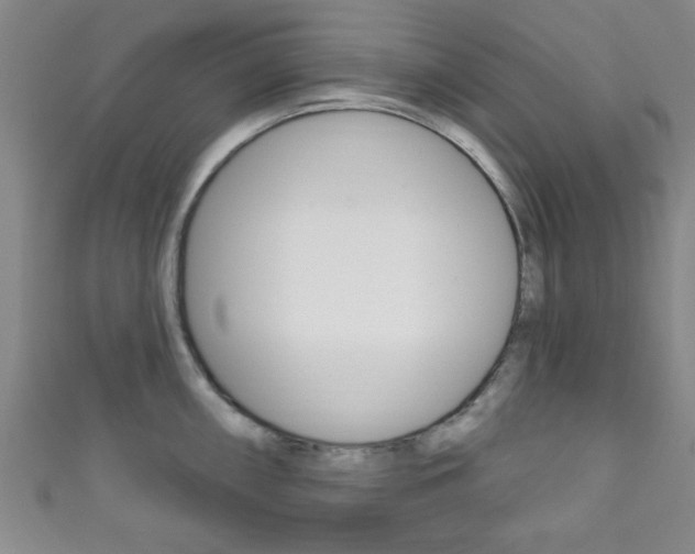 X0000111791098200907230943