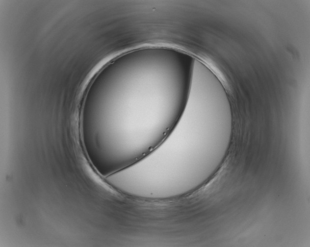 X0000111791100200907230943