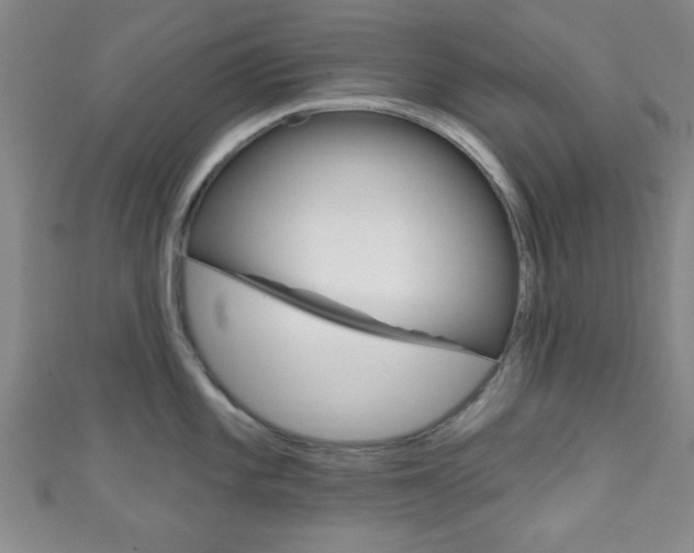 X0000111791101200907230943