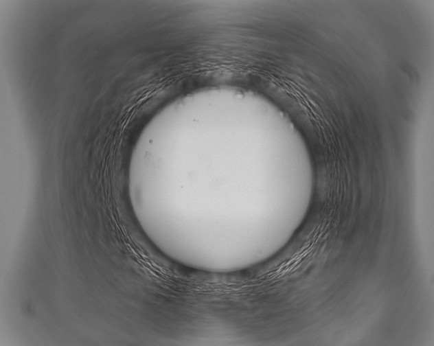 X0000111791105200907230943