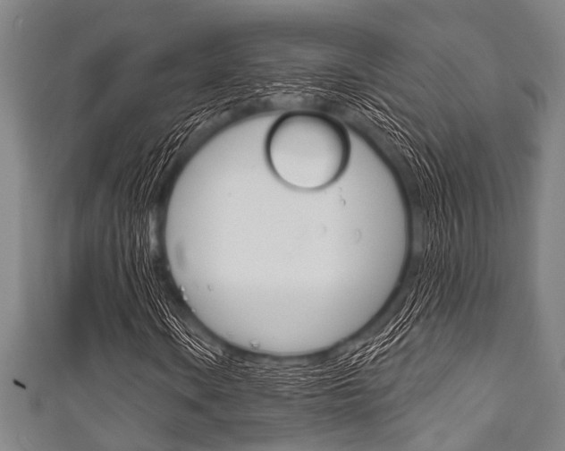 X0000111791106200907230943