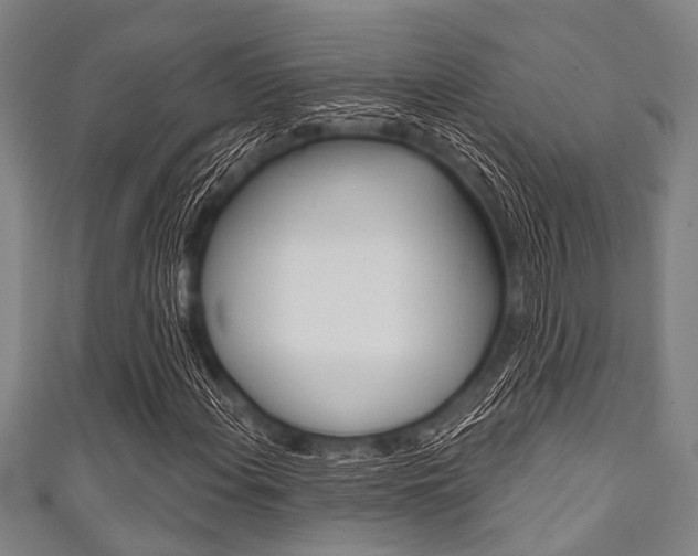 X0000111791108200907230943