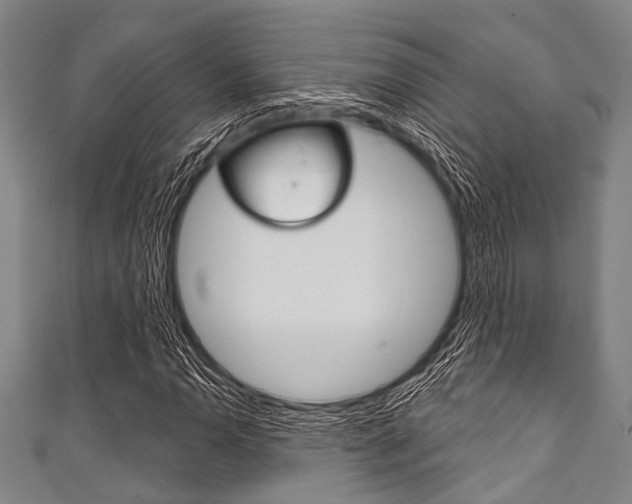 X0000111791110200907230943