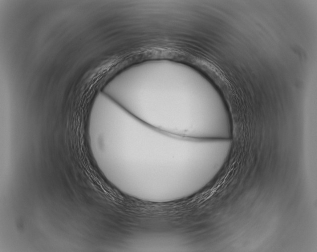 X0000111791111200907230943