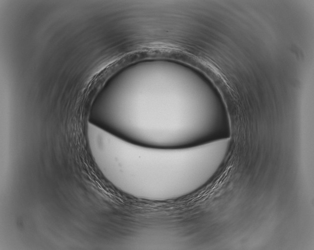 X0000111791112200907230943