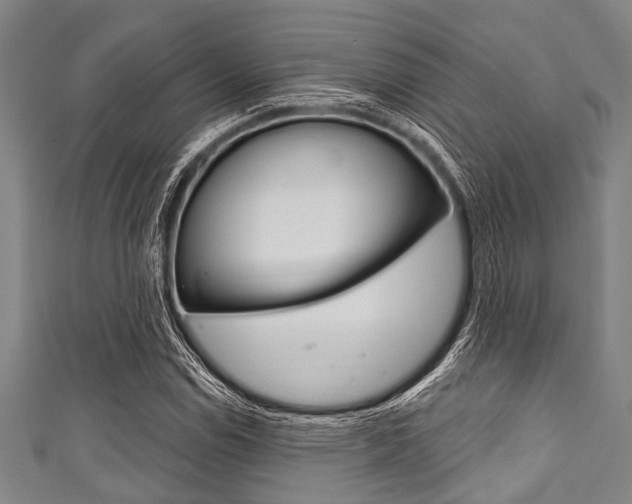 X0000111791114200907230943