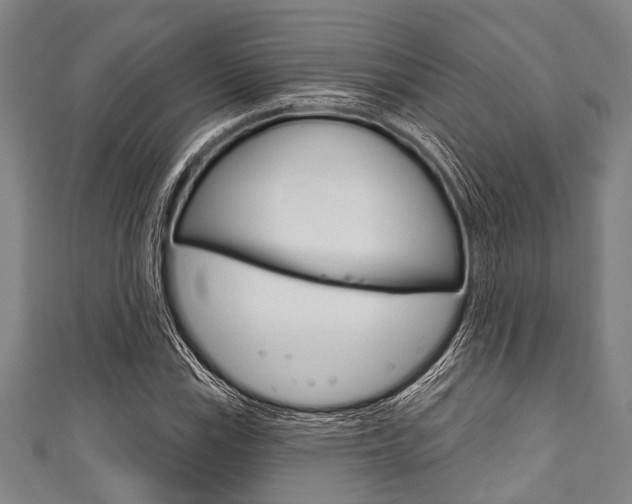 X0000111791115200907230943