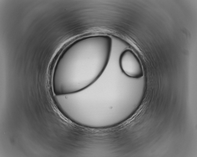 X0000111791116200907230943