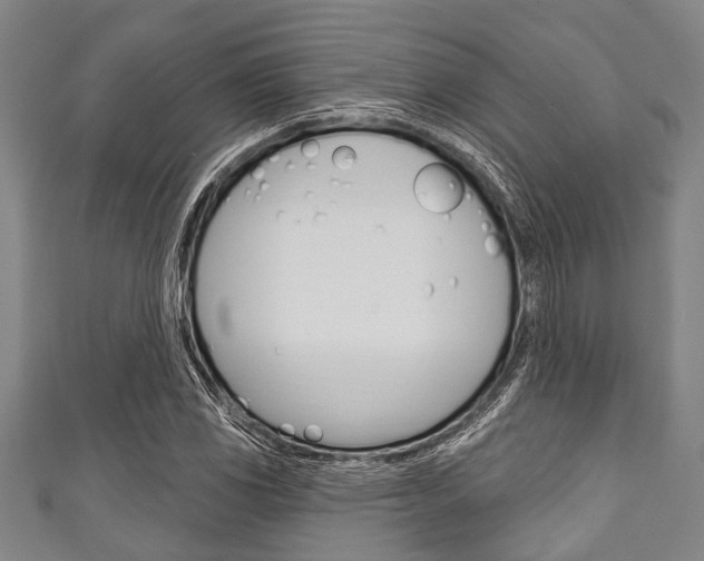 X0000111791117200907230943