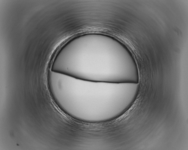 X0000111791119200907230943