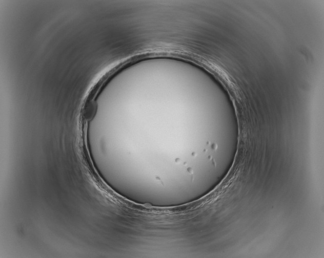 X0000111791120200907230943