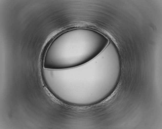 X0000111791122200907230943