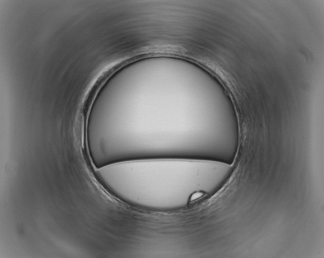 X0000111791123200907230943
