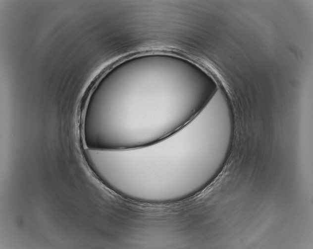 X0000111791124200907230943