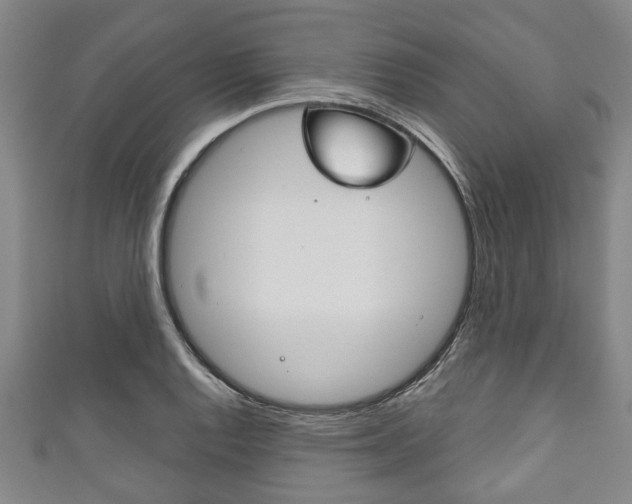 X0000111791128200907230943