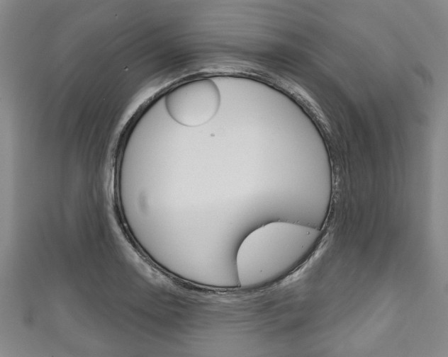 X0000111791130200907230943