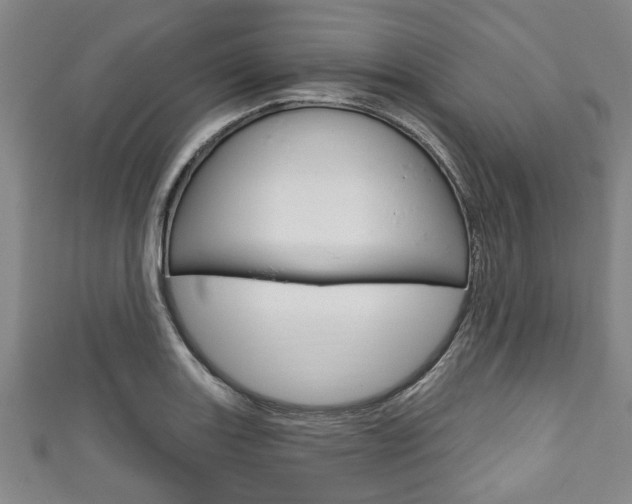 X0000111791131200907230943