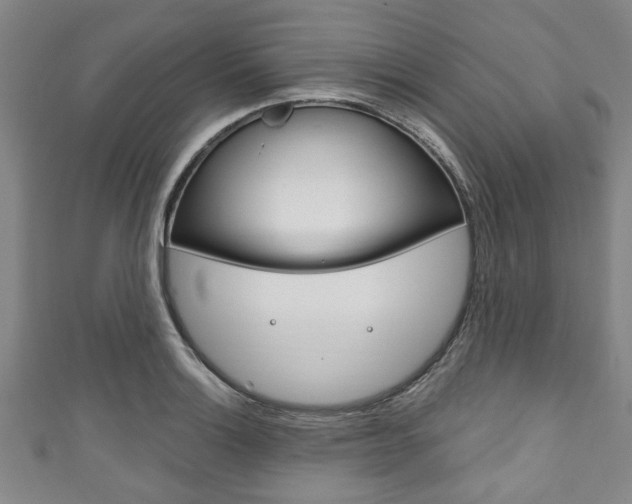 X0000111791132200907230943