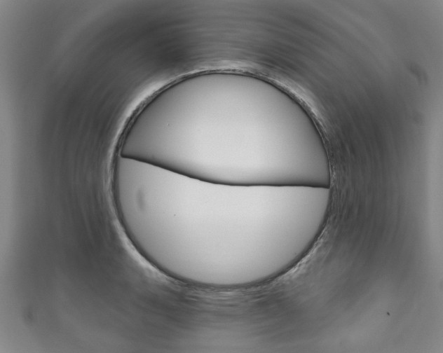 X0000111791135200907230943