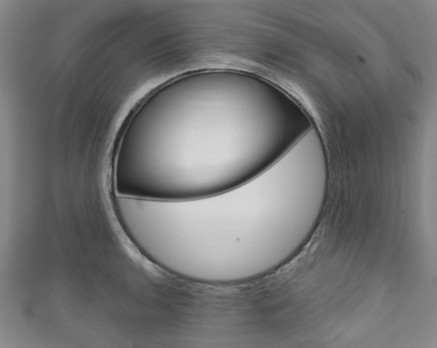 X0000111791136200907230943