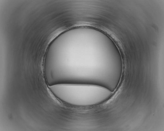 X0000111791137200907230943