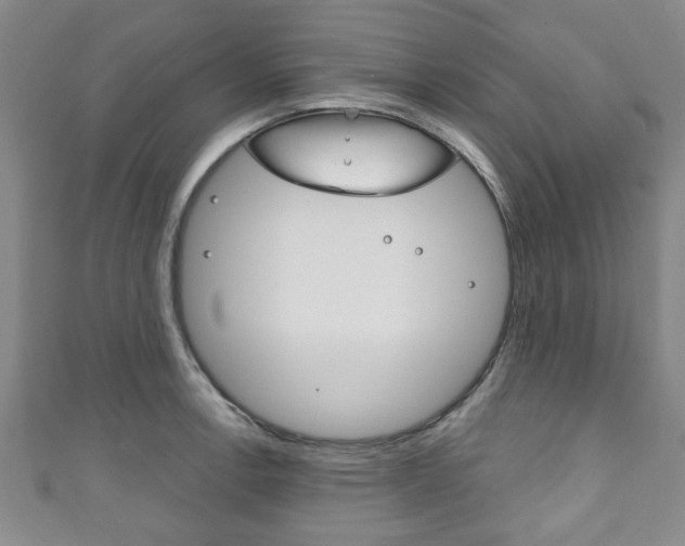 X0000111791138200907230943