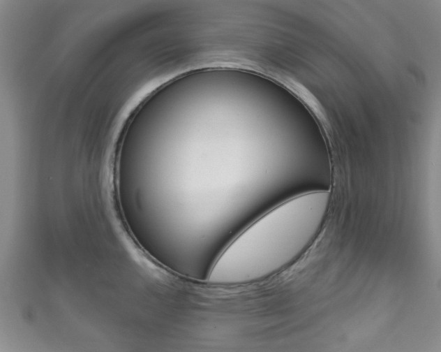 X0000111791144200907230943