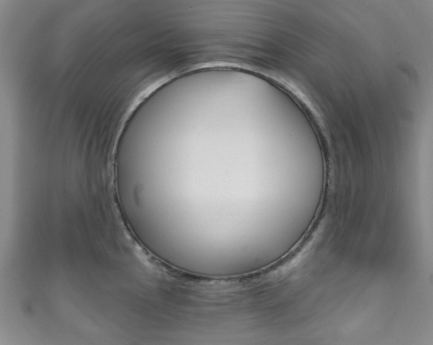 X0000111791145200907230943