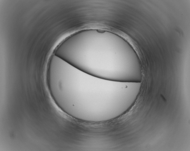 X0000111791147200907230943