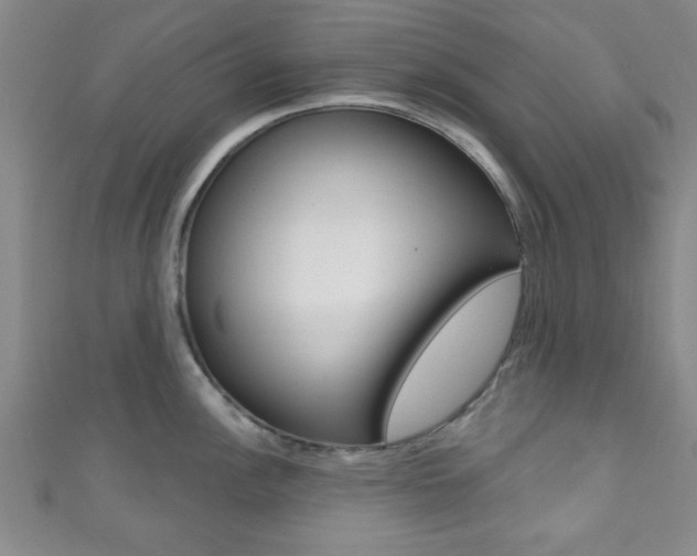 X0000111791148200907230943