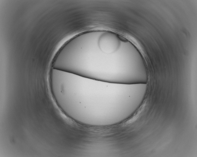 X0000111791149200907230943