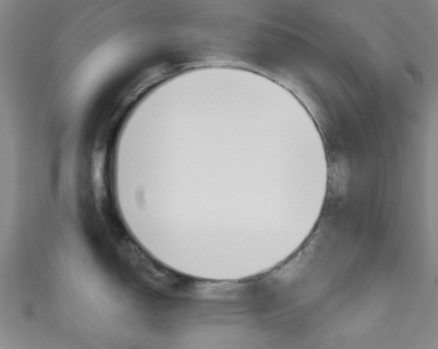 X0000111791150200907230943