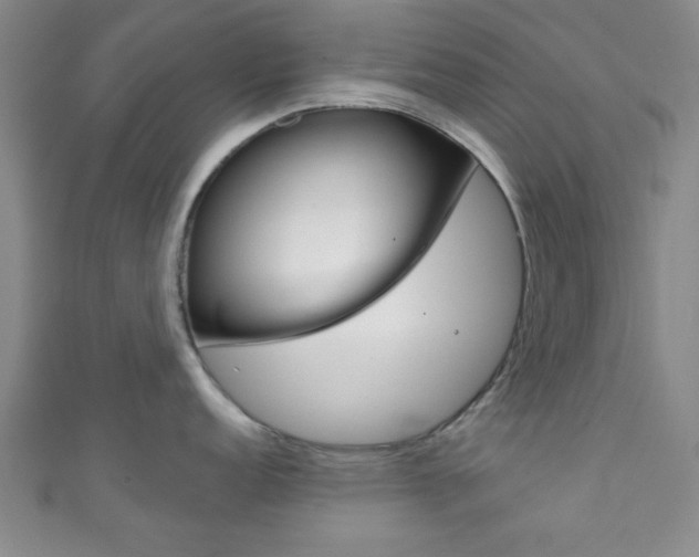 X0000111791152200907230943