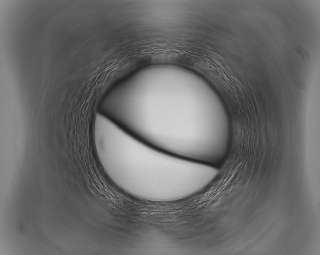 X0000111791153200907230943