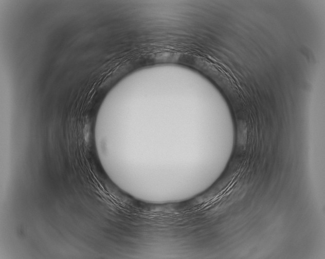 X0000111791154200907230943