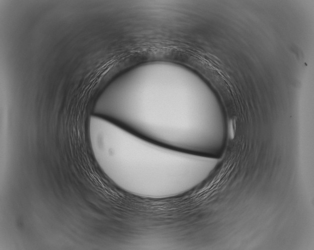 X0000111791155200907230943